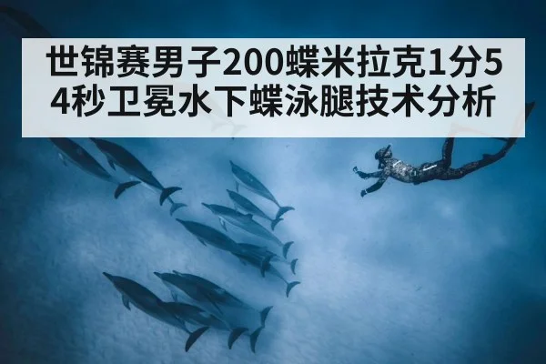 世锦赛男子200蝶米拉克1分54秒卫冕水下蝶泳腿技术分析