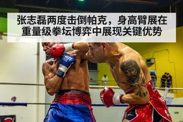 boxer knockout punch