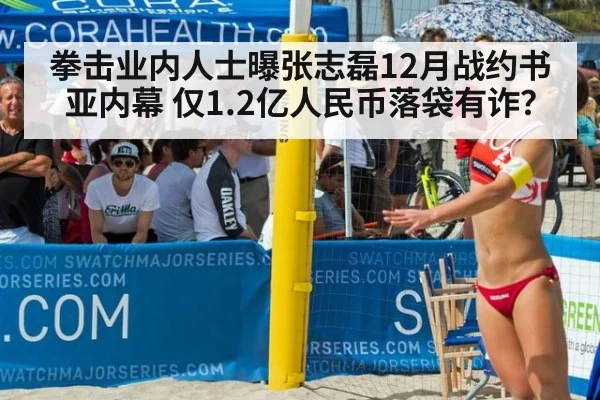 拳击业内人士曝张志磊12月战约书亚内幕 仅1.2亿人民币落袋有诈？