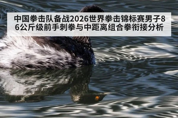 中国拳击队备战2026世界拳击锦标赛男子86公斤级前手刺拳与中距离组合拳衔接分析